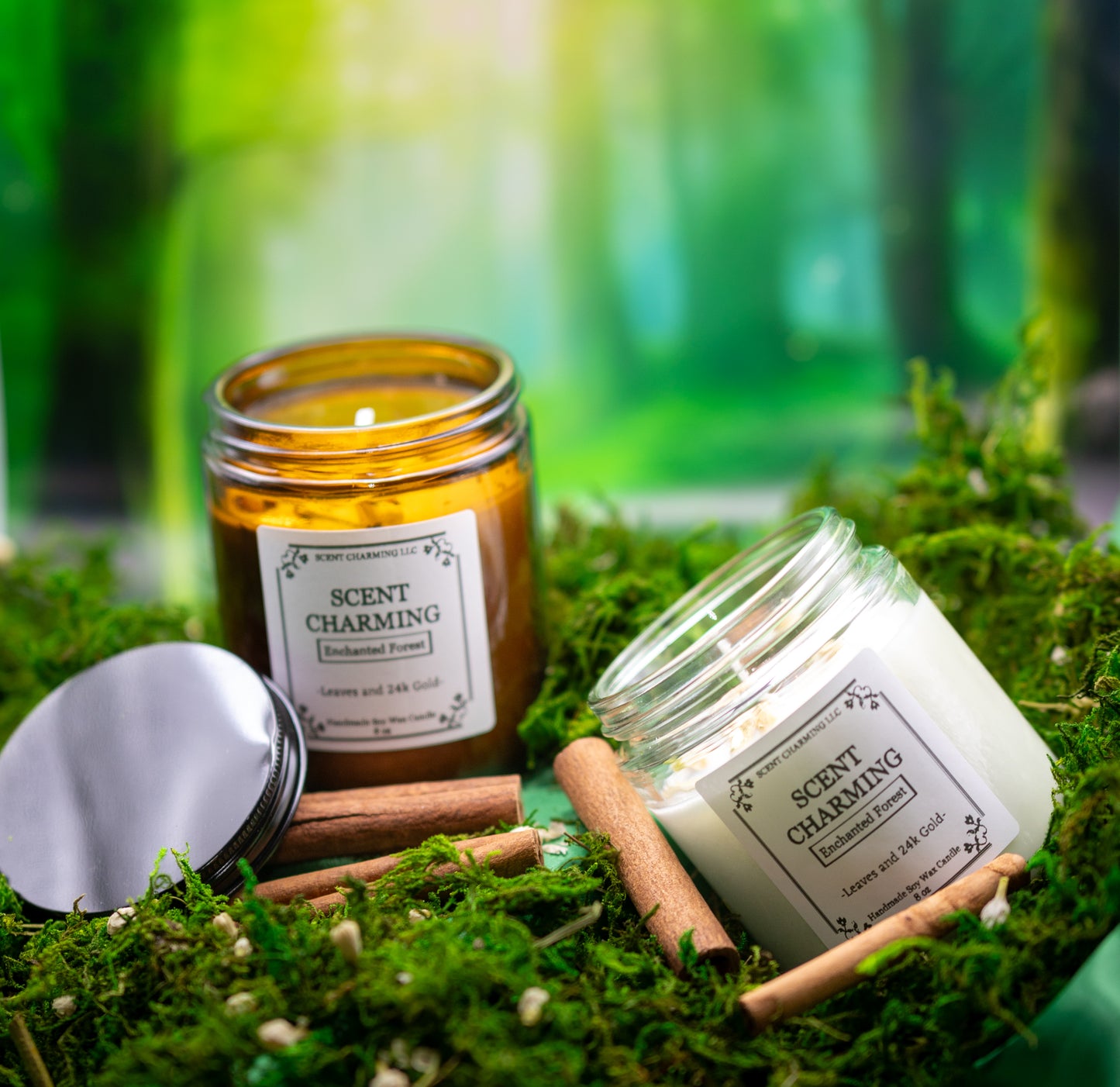 Enchanted Forest