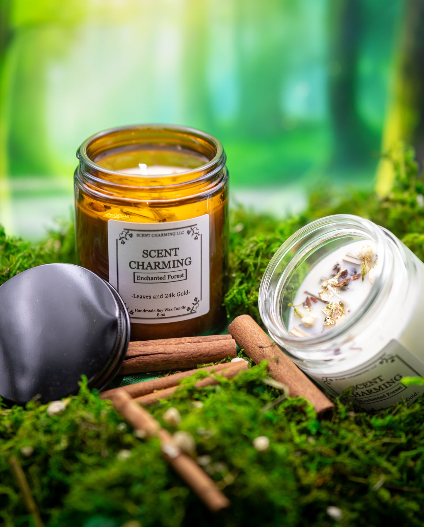 Enchanted Forest